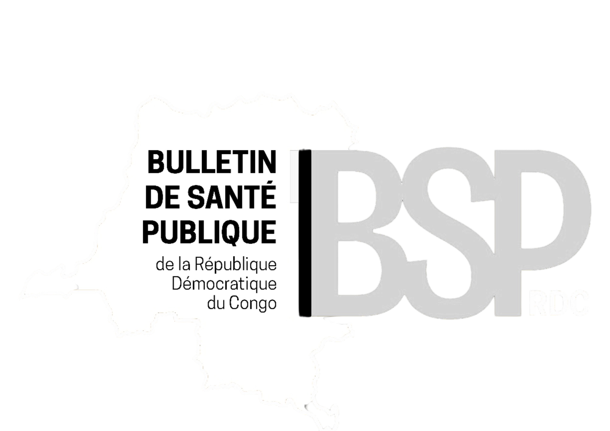 Logo BSP